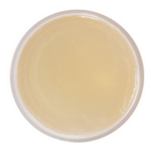 PCA Skin Blemish Control Bar Cleanser