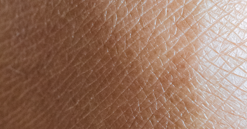 layers of skin anatomy