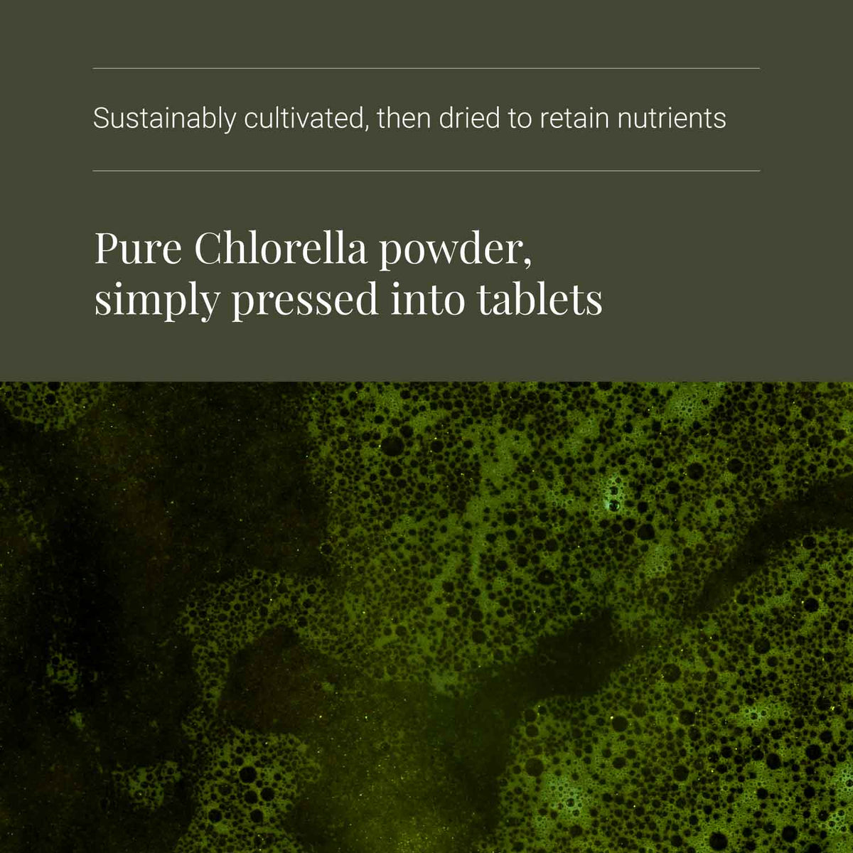 KIKI Health Organic Chlorella 200 Tablets