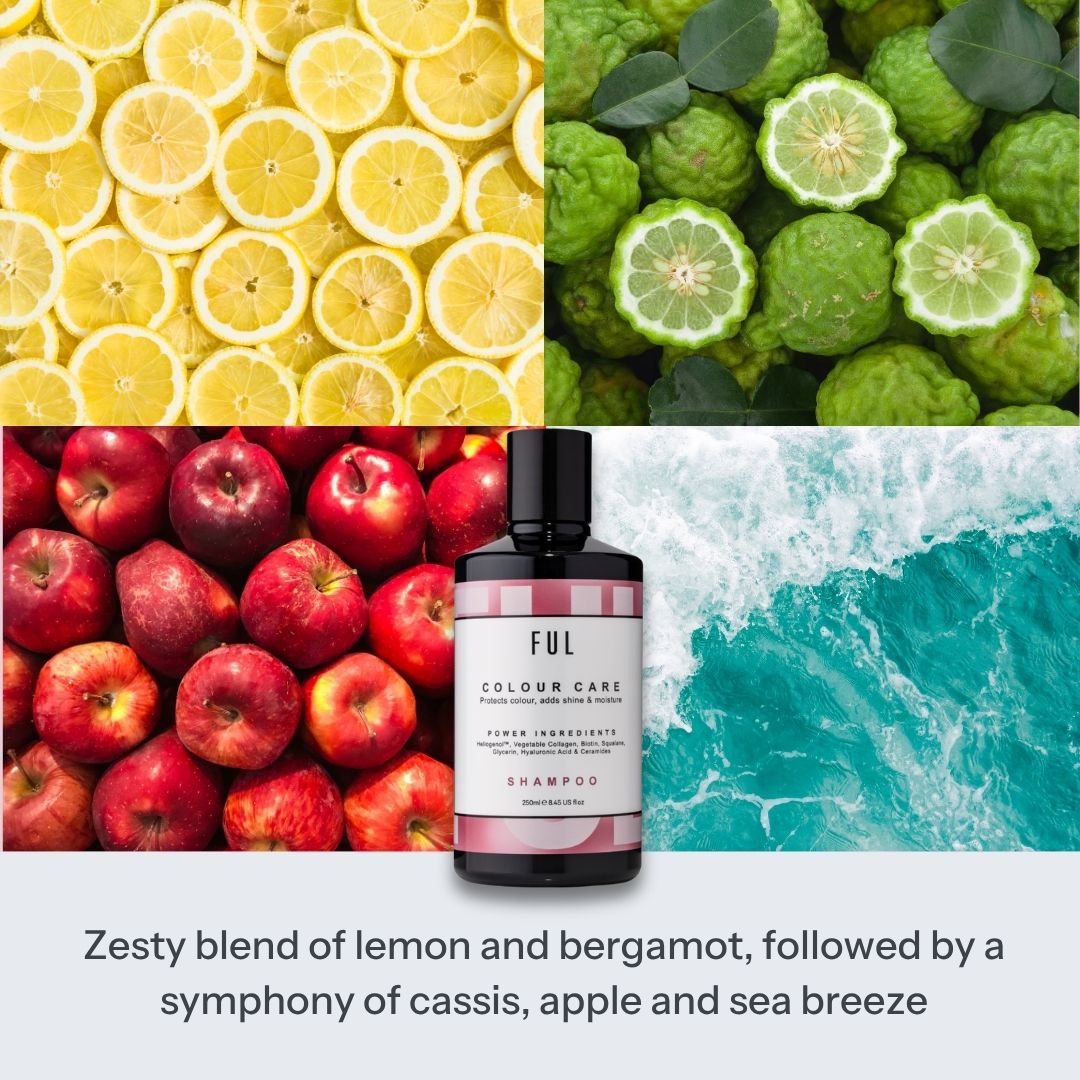 FUL Colour Care Shampoo 250ml