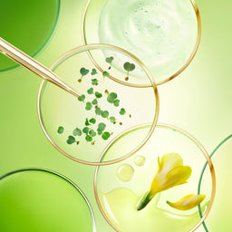 NUXE Nuxuriance Ultra The Global Anti-Aging Rich Cream 50ml