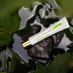 A white lip therapy cream tube with a gold cap and green accents, resting on wet dark rocks surrounded by green leaves.