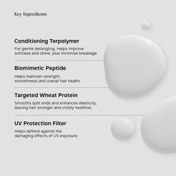 A light gray informational graphic with the heading 'Key Ingredients' and four text callouts describing hair-care ingredients: Conditioning Terpolymer, Biomimetic Peptide, Targeted Wheat Protein, and UV Protection Filter. The layout includes soft white droplet shapes on the right side.