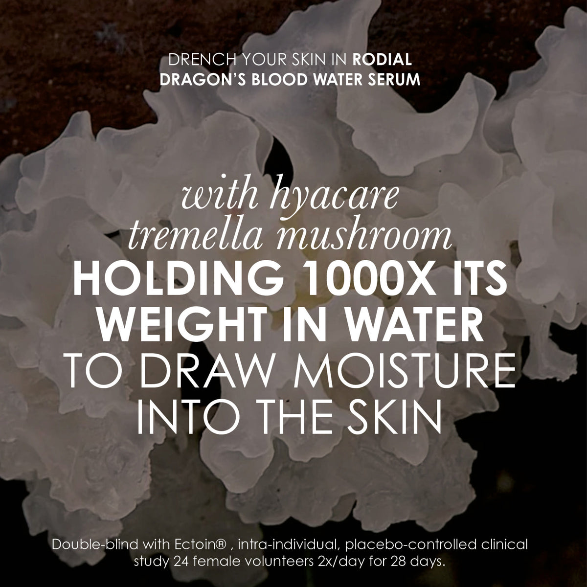 Rodial Dragons Blood Water Serum