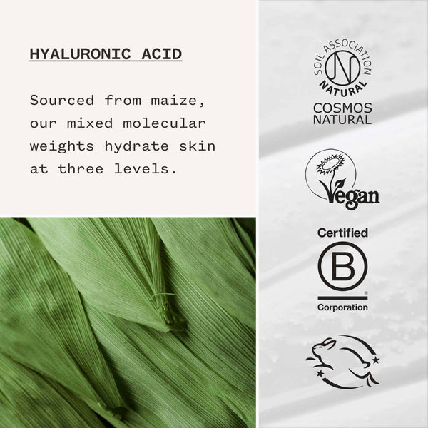 Pai Skincare Hyaluronic Acid Booster 0.3%