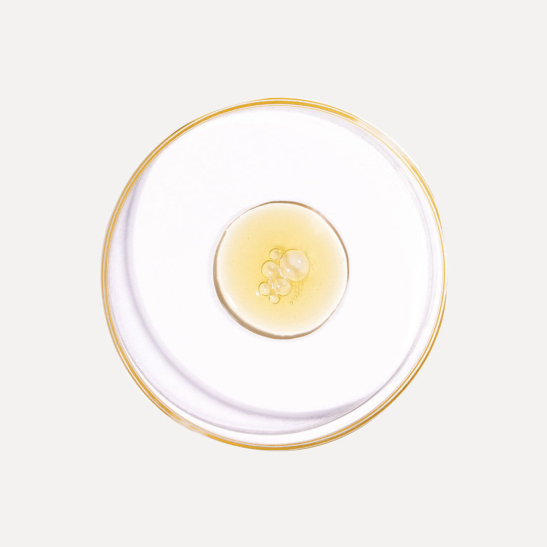 Clear glass plate with gold rim on a white background