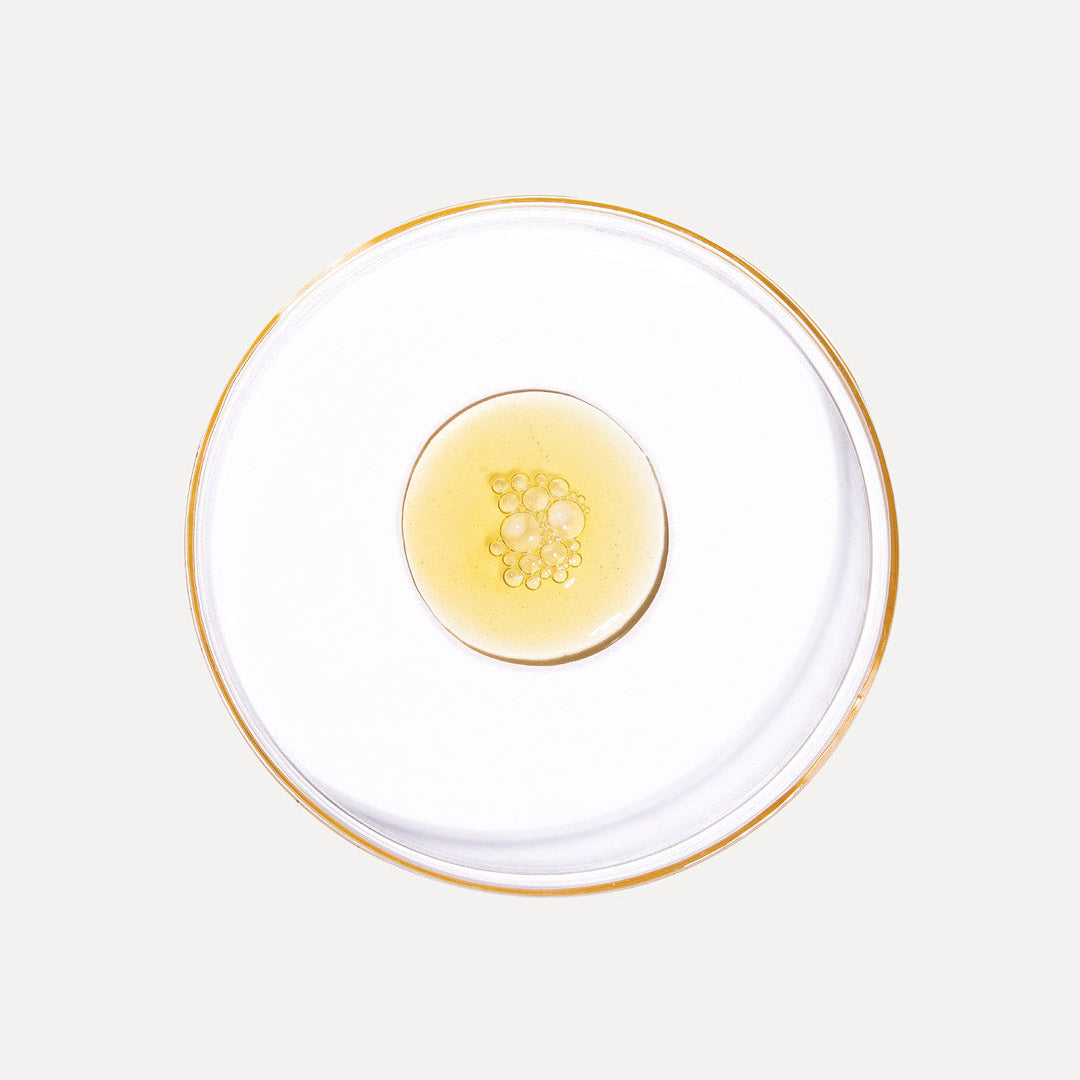 White plate with gold rim featuring a round yellow object on a white background