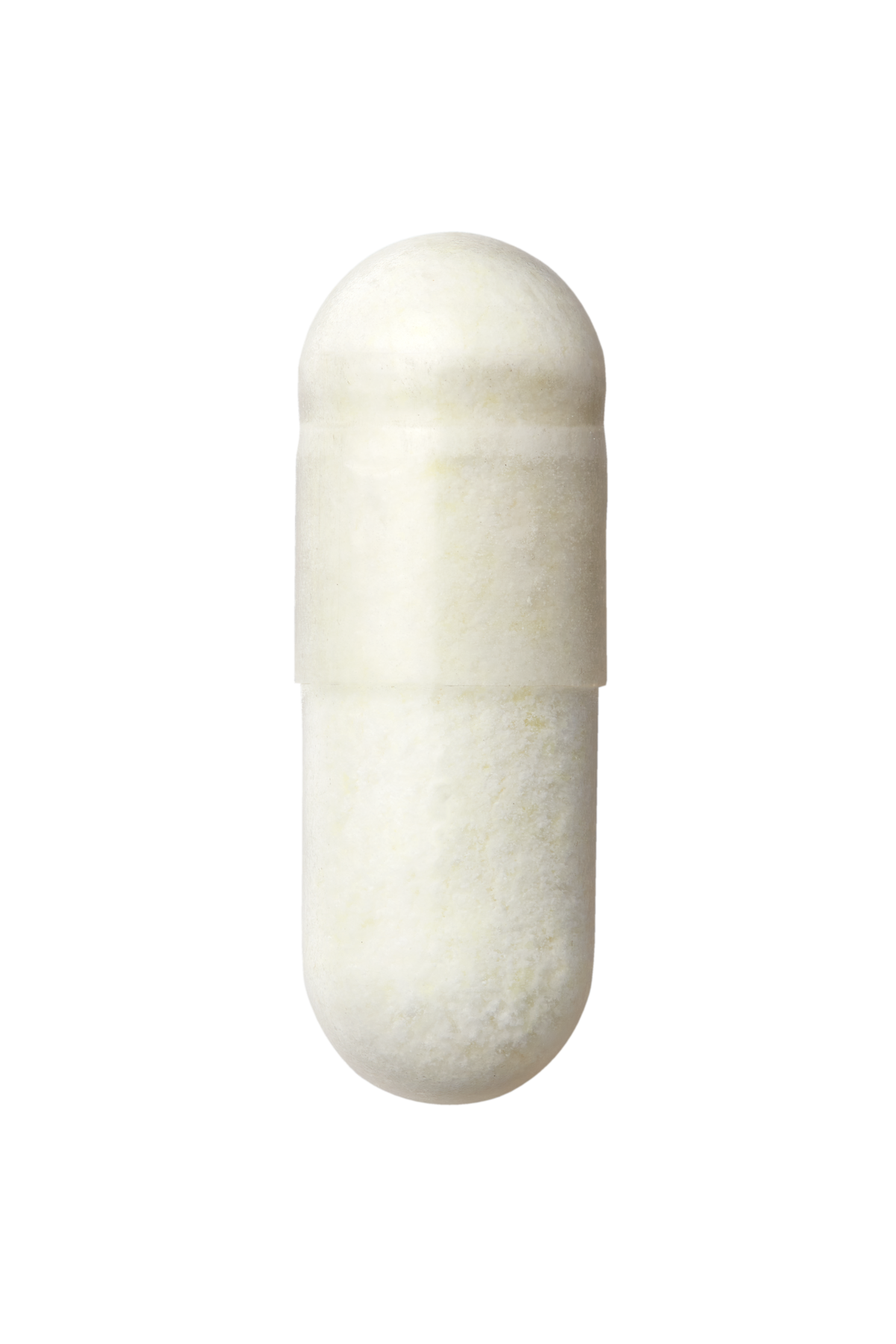 White cylindrical object on a white background