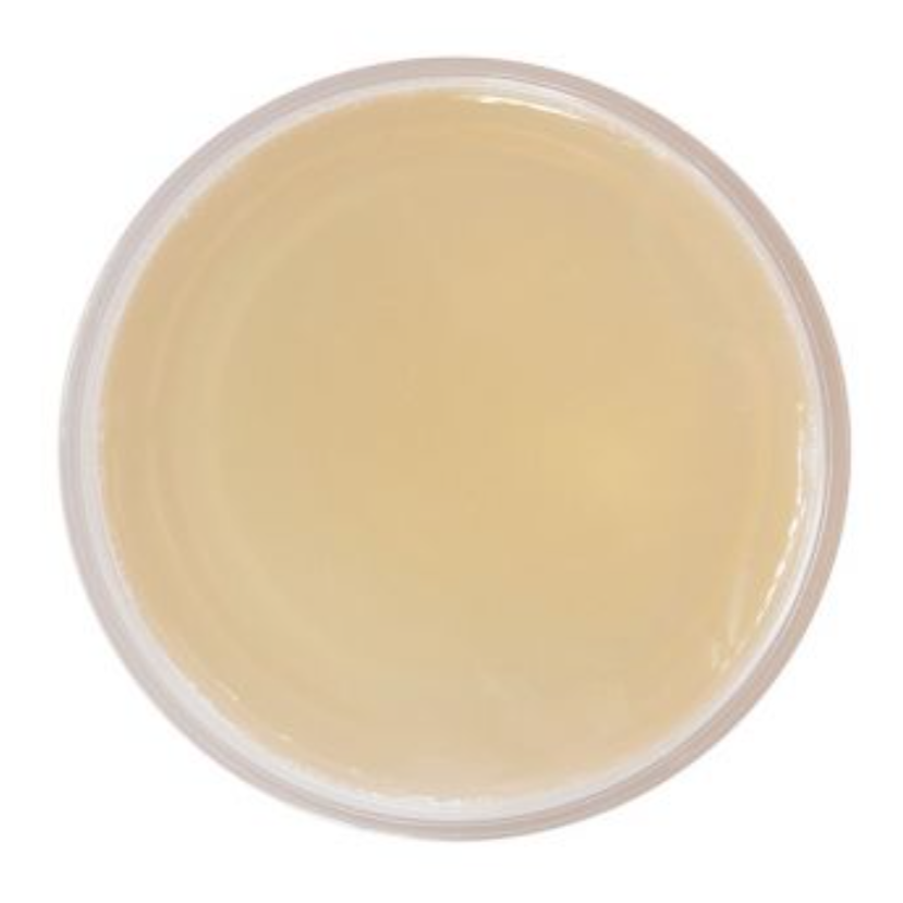 PCA Skin Blemish Control Bar texture