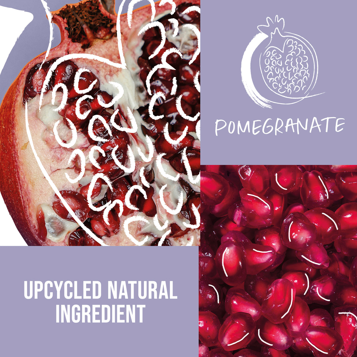 Pomegranate seeds and a pomegranate with 'Upcycled Natural Ingredient' text on a purple background.