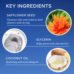 Key ingredients of a skincare product with images and descriptions on a blue background