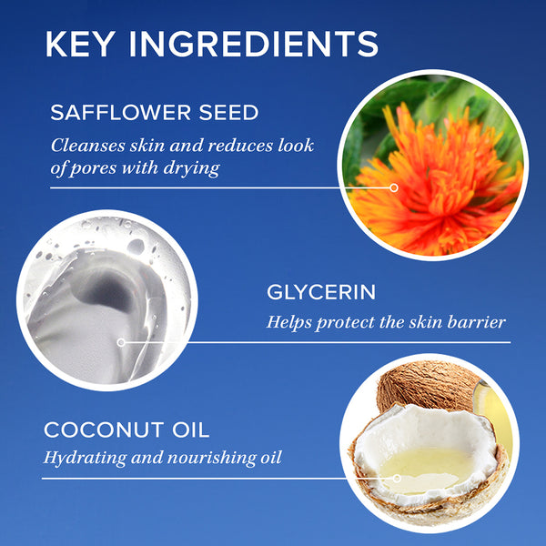 Key ingredients of a skincare product with images and descriptions on a blue background