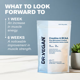 DR.VEGAN Creatine & BCAA Supplement