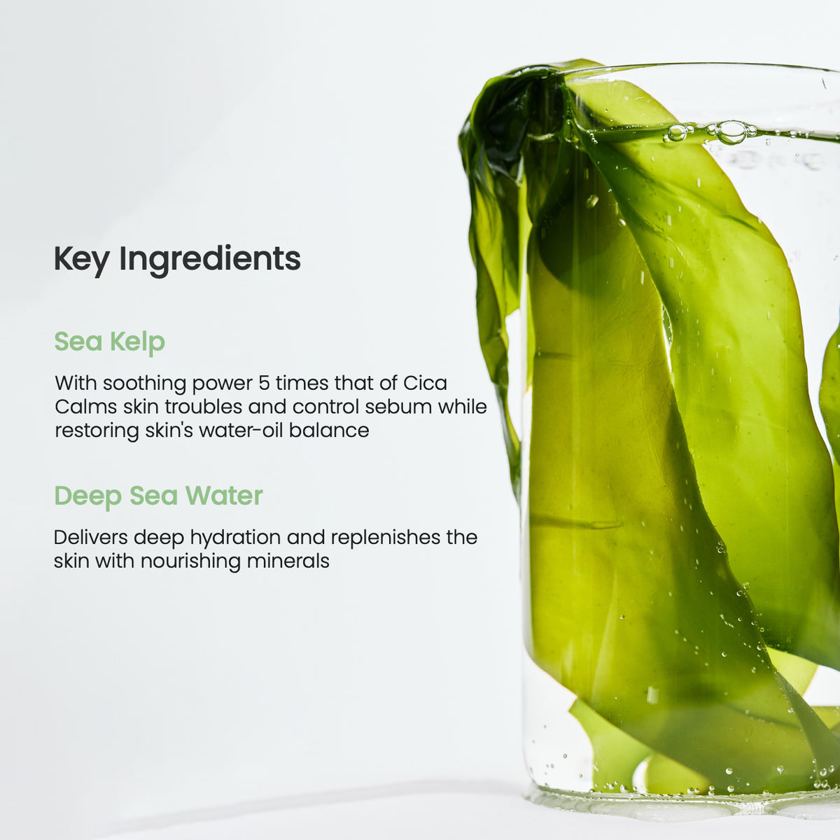 Biodance Refreshing Sea Kelp Real Deep Mask (Single)