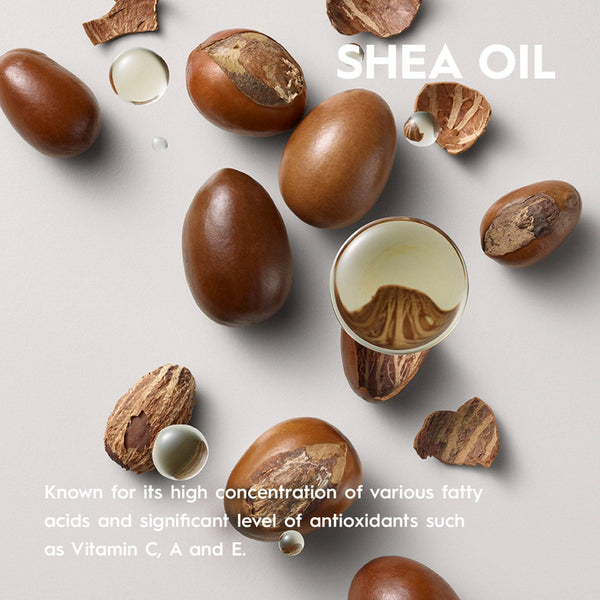 Shea nuts and oil on a light gray background with text about shea oil's properties.