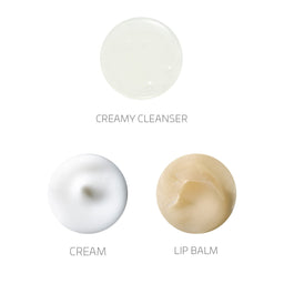Three cosmetic products labeled 'Creamy Cleanser', 'Cream', and 'Lip Balm' on a white background.