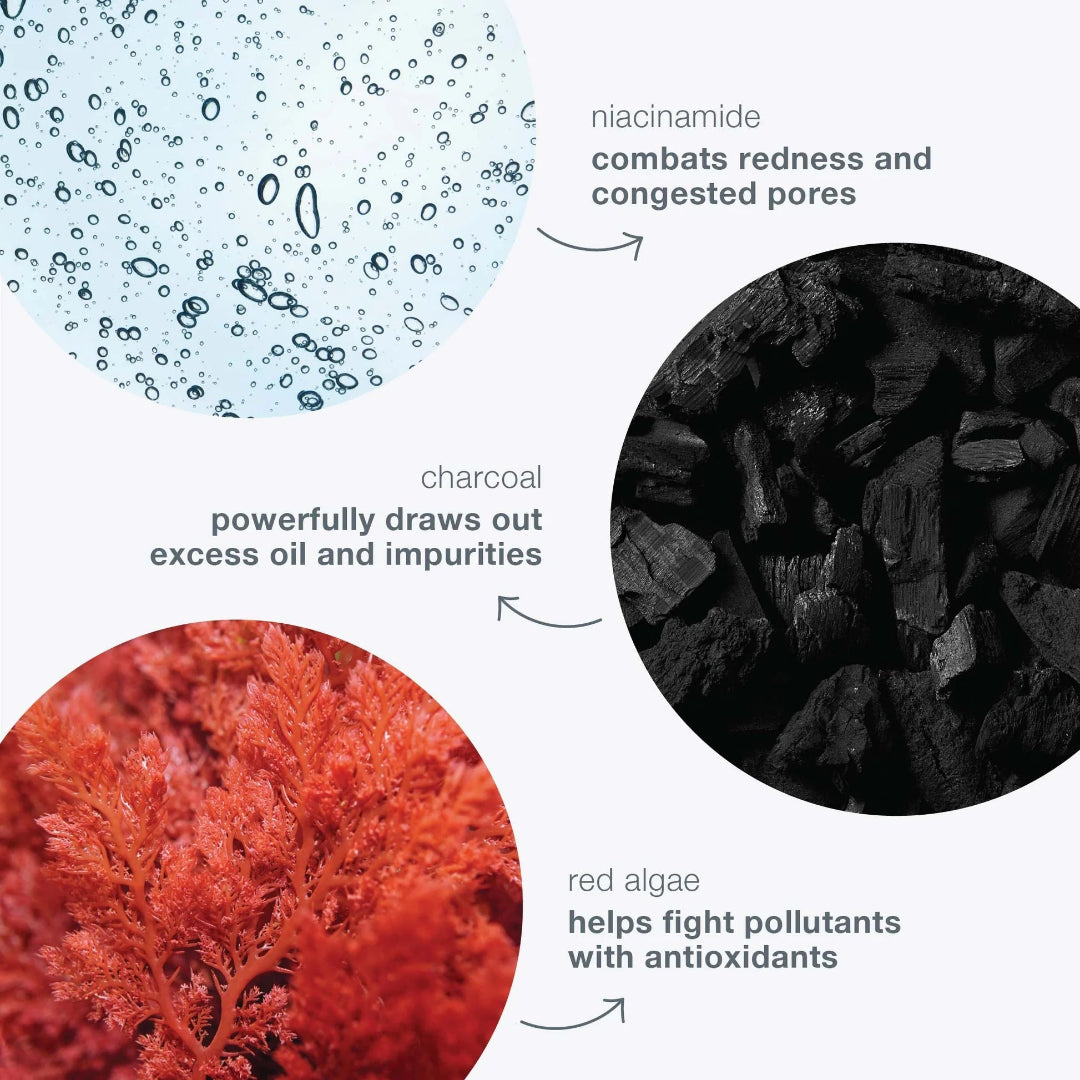 Illustration of niacinamide, charcoal, red algae, and their benefits on a white background.