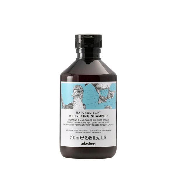  Davines Naturaltech Well Being Shampoo 250ml 
