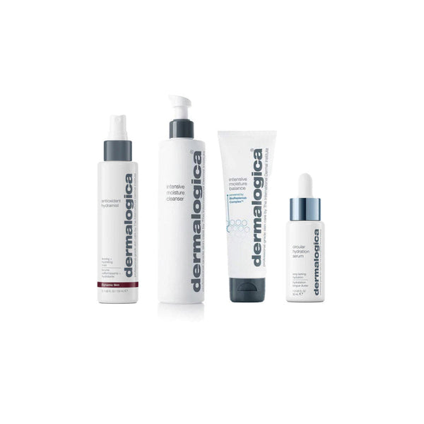Dermalogica Dry Skin Routine Bundle