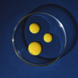 OSKIA Midnight Elixir - Regenerative EGF & Multi-Peptide Night Serum