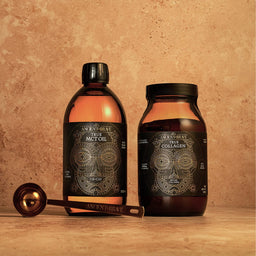 Ancient + Brave The Best Sellers Bundle