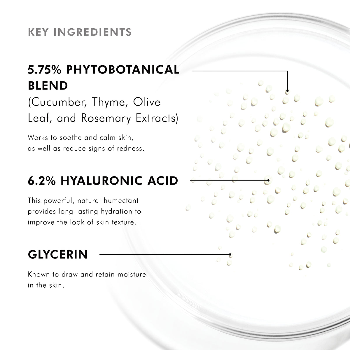 key ingredient information 