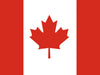 icon-flag-ie