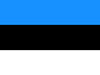 icon-flag-ie