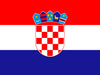 icon-flag-ie