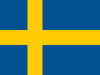 icon-flag-ie