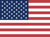icon-flag-ie