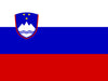 icon-flag-ie